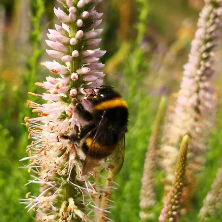 Ferien-appartement Апартаменты Strohn