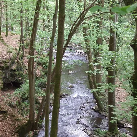 Apartment Ferien-appartement Strohn