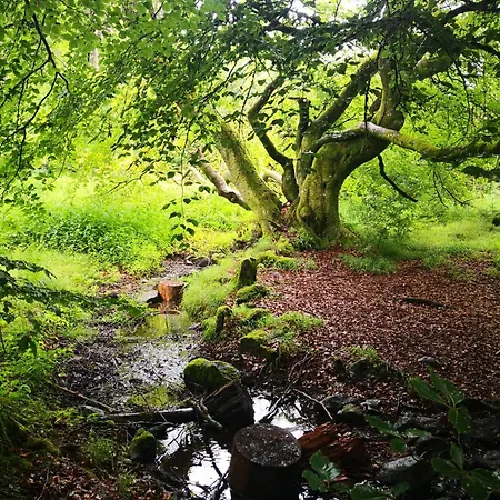 Ferien-appartement Апартаменты *