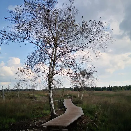 Апартаменты Ferien-appartement *