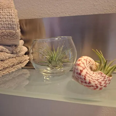 Ferien-appartement *