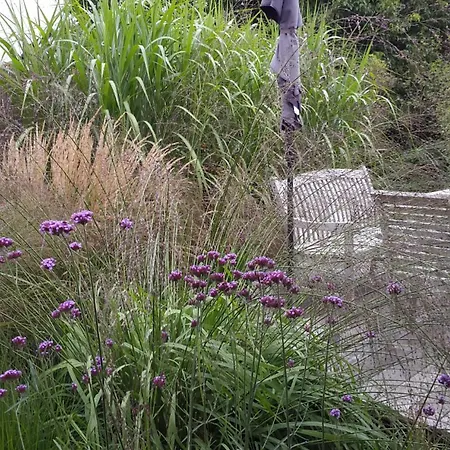 Ferien-appartement Апартаменты *