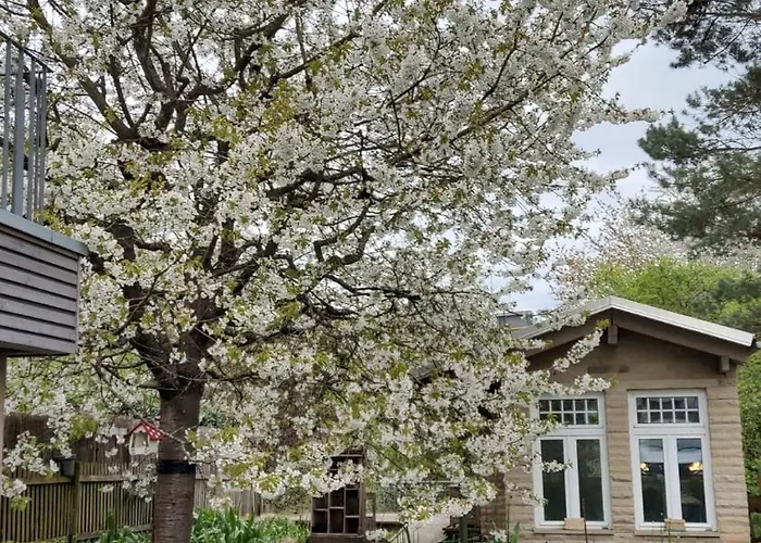 Ferien-appartement *