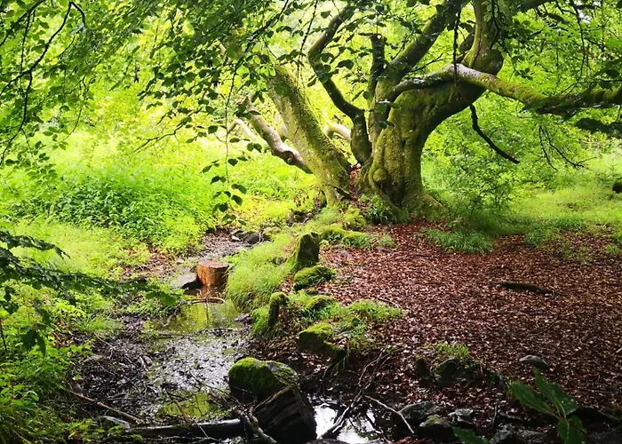 Ferien-appartement Appartement *