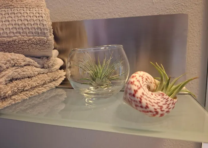 Ferien-appartement *